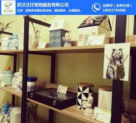 武汉汪仔宠物服务公司 专业宠物善终服务与潜江宠物火化价格解析