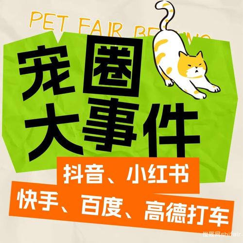打造洁净乐园 卫生管理如何成为宠物服务行业的隐形王牌